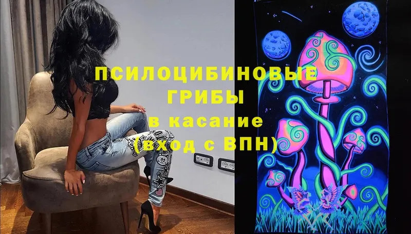 Галлюциногенные грибы Magic Shrooms  ОМГ ОМГ вход  Краснозаводск 